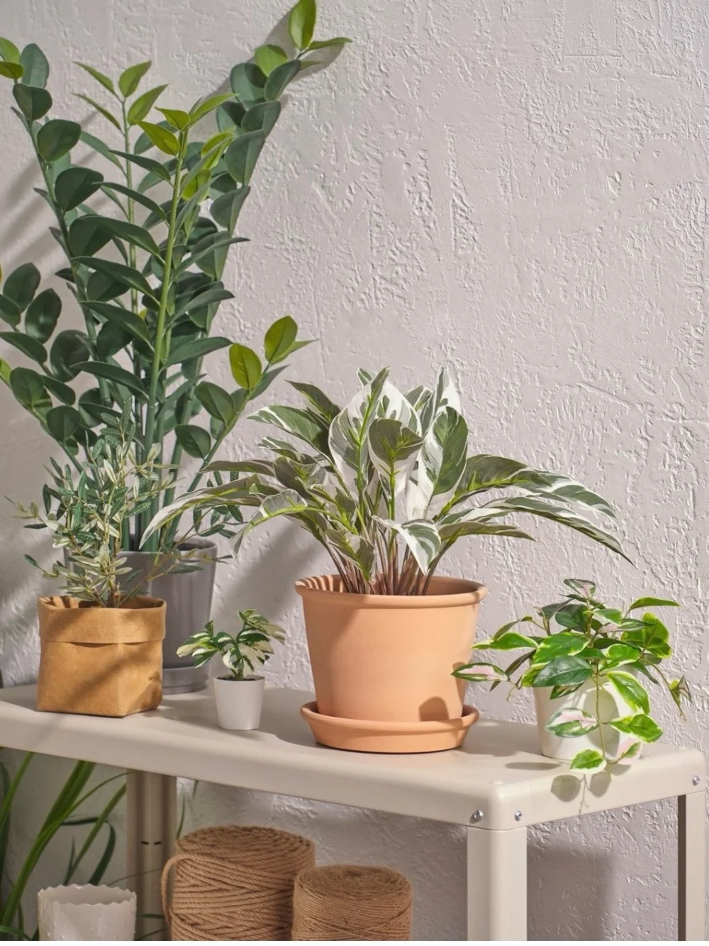 IKEA Variegated Green and White Potted Artificial Plant #619